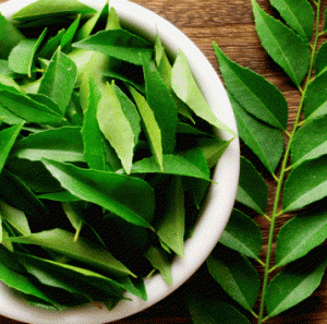 Curry leaf