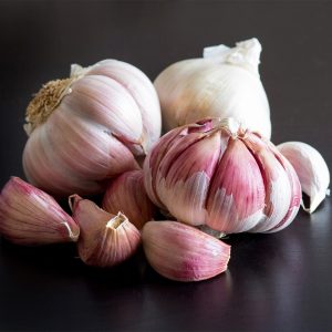 Garlic
