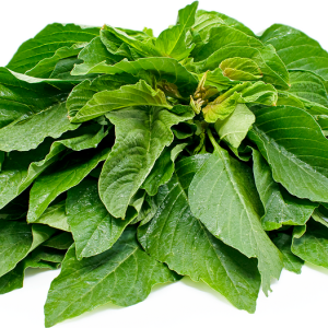 Green Amaranth