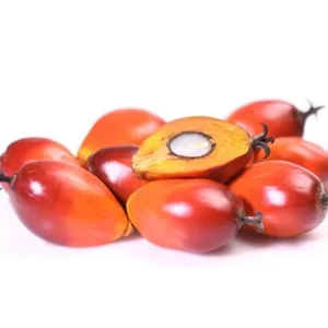 Fresh palm kernel
