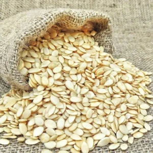 Melon seed